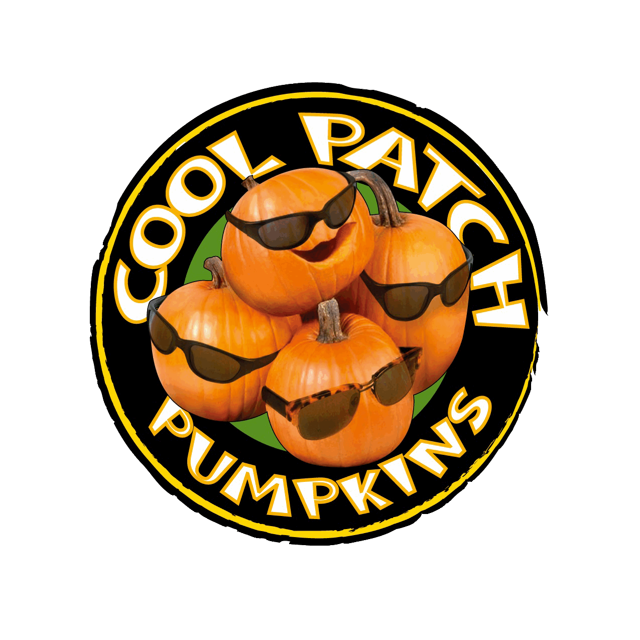 Pumpkin Patch In Dixon Ca